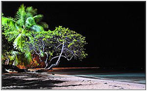 Plage de Ste Anne éclairée toute la nuit